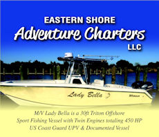 Eastern Shore Adventure Charters
