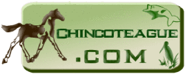www.chincoteague.com