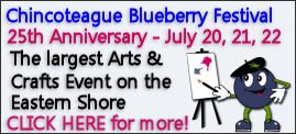 chincoteague blueberry festival