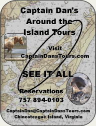 captain dan's cruises banner