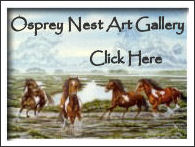 osprey nest art banner