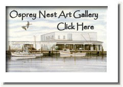 osprey nest art banner