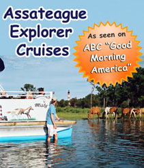 assateague explorer