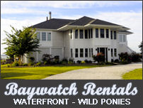 baywatch banner
