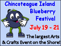 blueberry festival banner
