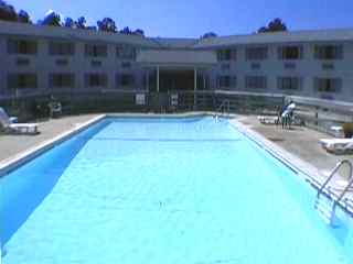 Huge pool close to the lodge