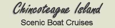 boat cruises page