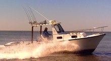 bucktail charters
