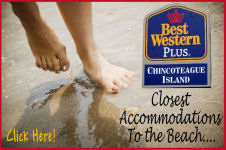 best western banner