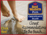 best western banner