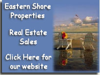 eastern shore properties banner