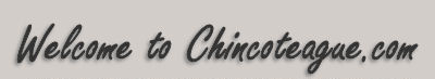 Welcome to Chincoteague Island