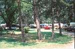 pine grove campground image