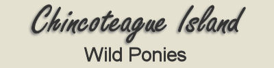 ponies page