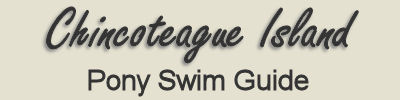 pony swim 2010 pictures page