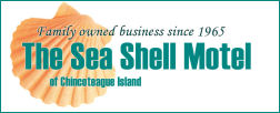 sea shell motel banner