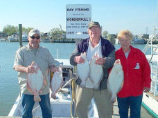 wonderfull one charters banner ad