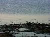 bch019.jpg