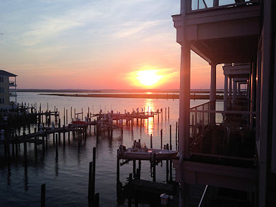 Chincoteague Pony Swim