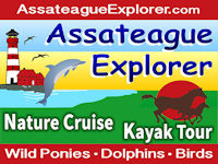 Assateague Explorer banner