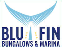 bluefin bungalows & marina