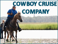 up the bay pony tours banner ad