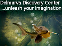 delmarva discovery center banner