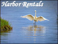 harbor rentals banner