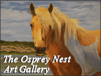 osprey nest banner