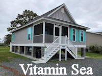 Vitamin Sea banner