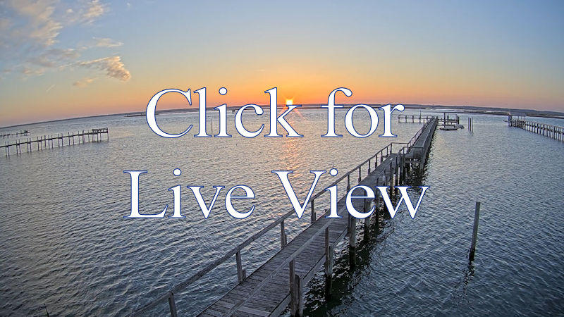 Chincoteague Island Webcam Three