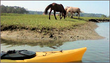 Snug Harbor Kayak Tours & Rentals