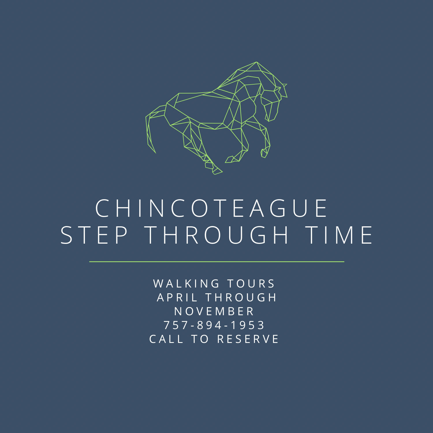 The Chincoteague Center