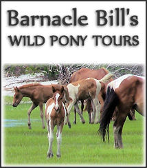 Barnacle Bills Boat Tours