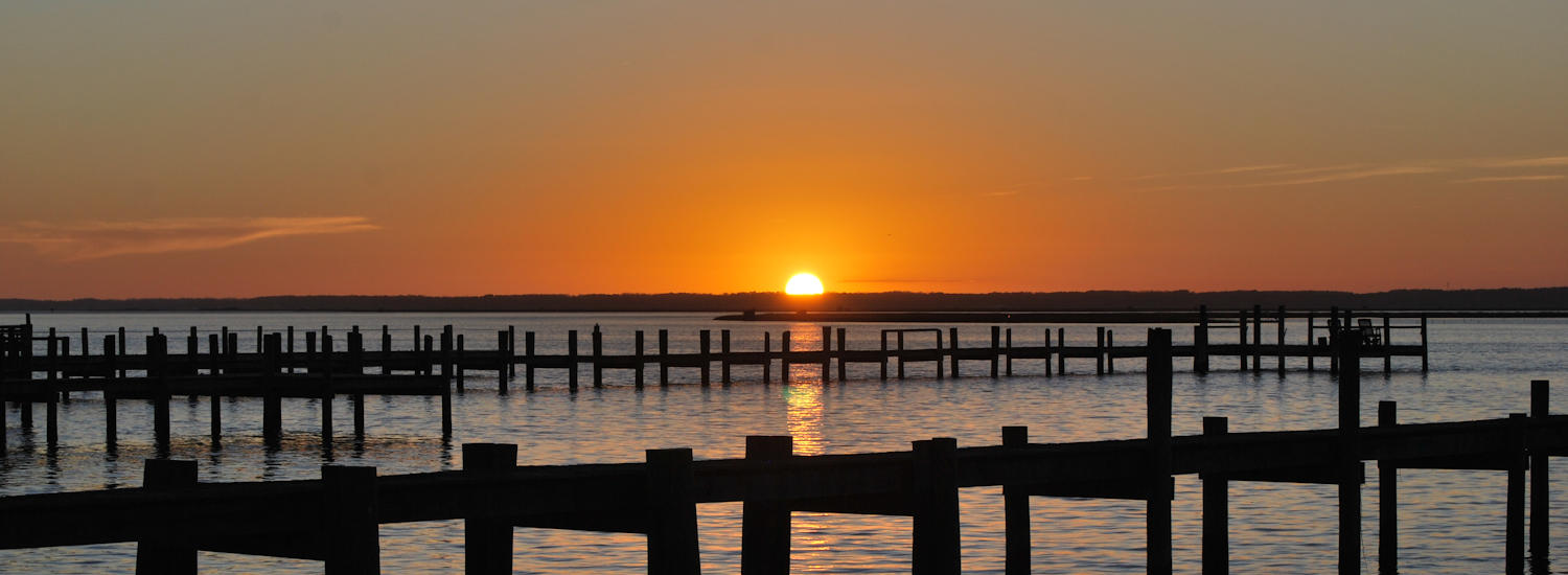 chincoteague page top pic