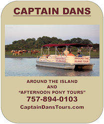 captain dan's cruises banner