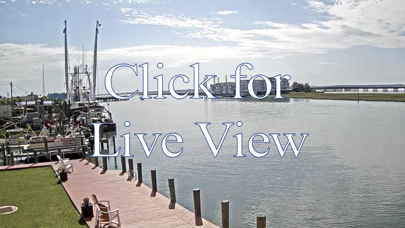 Chincoteague Island Webcam One