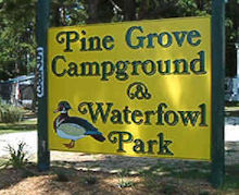 Pine Grove Campground