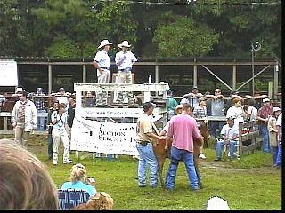 pa001.jpg
