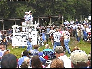 pa002.jpg