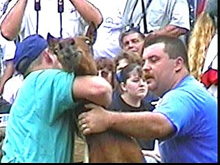 pa007.jpg