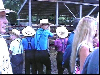 pa015.jpg