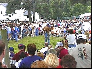 pa018.jpg