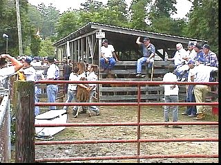 pa025.jpg
