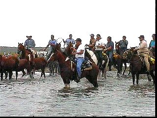 pc007.jpg