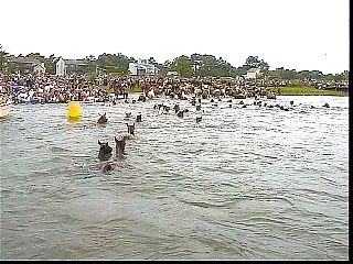 pc010.jpg