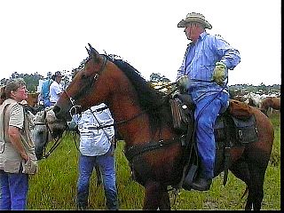 pc018.jpg