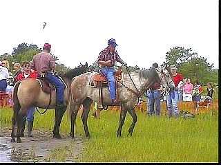 pswm004.jpg
