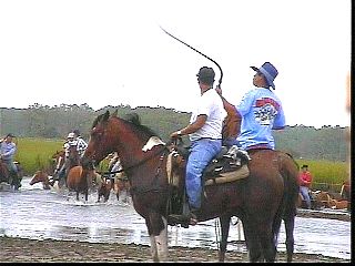 pswm009.jpg