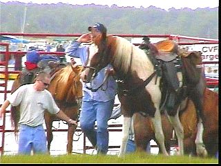 pswm062.jpg